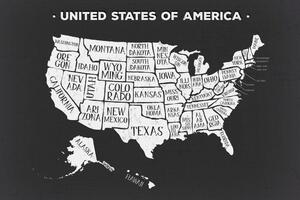 Tablou hartă educațională a SUA în design alb-negru