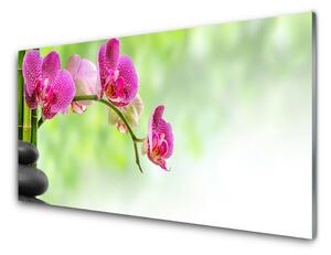 Panou sticla bucatarie Pietrele florale flori Roșu Negru