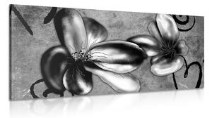 Tablou flori vintage interesante în design alb-negru