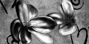 Tablou flori vintage interesante în design alb-negru