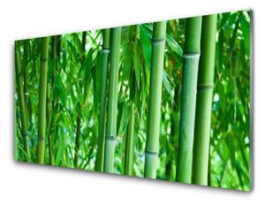 Panou sticla bucatarie Bamboo Peduncul Floral Verde