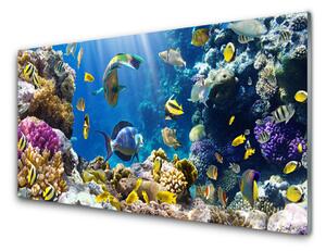 Panou sticla bucatarie Coral Reef Natura Multi