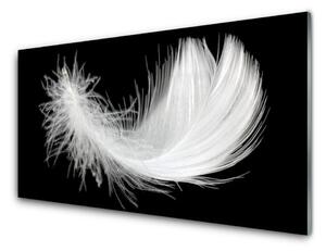 Tablouri acrilice Feather Art White