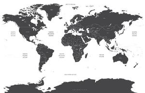 Tablou pe plută harta lumii cu state individuale în culoare gri