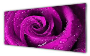 Tablou pe sticla Rose Floral roz