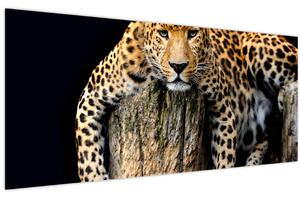 Tablou - Ghepard (120x50 cm)