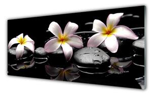 Panou sticla bucatarie Floare pietre Floral Alb Galben Negru