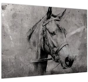 Tablou - Portret de cal (70x50 cm)