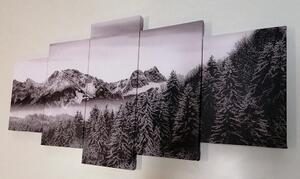 Tablou 5-piese munții înghețați în design alb-negru