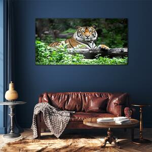Tablou din sticla Forest Animal Cat Tiger
