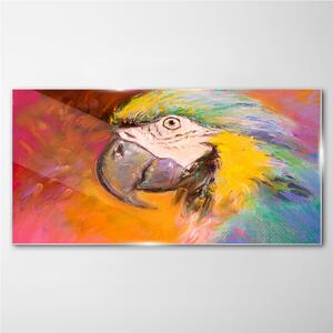 Tablou sticla Papagal de animale de abstractizare