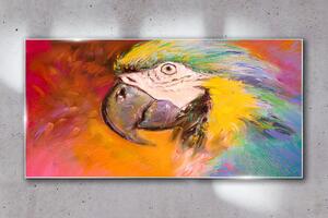 Tablou sticla Papagal de animale de abstractizare