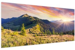 Tablou - Peisaj forestier (120x50 cm)