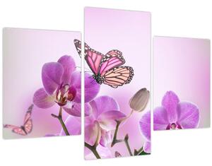 Tablou - Fluture pe flori de orhidee, liliac (90x60 cm)