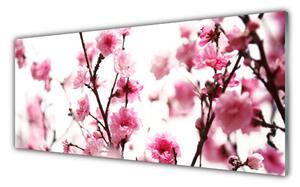 Tablou pe sticla Ramuri de flori Floral Brown roz