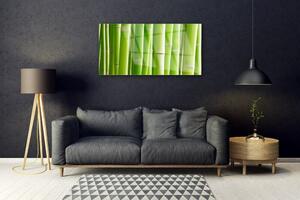 Tablou pe sticla Bamboo Tulpini Floral Verde