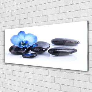 Tablou pe sticla Pietrele de flori Arta Albastru Negru