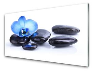 Panou sticla bucatarie Pietrele de flori Arta Albastru Negru