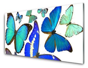 Tablou pe sticla Butterfly Natura Albastru Negru Violet