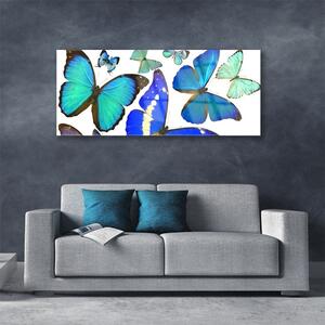 Tablouri acrilice Butterfly Natura Albastru Negru Violet