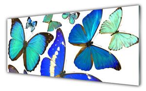 Tablouri acrilice Butterfly Natura Albastru Negru Violet