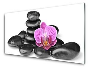Panou sticla bucatarie Pietrele de flori Arta roz negru