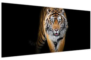 Tablou - Tiger (120x50 cm)