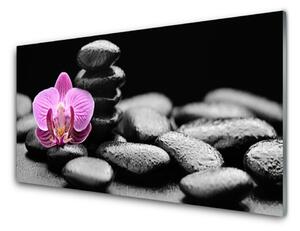 Panou sticla bucatarie Pietrele de flori Arta roz negru