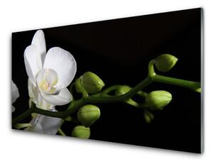 Tablou pe sticla Florale flori albe