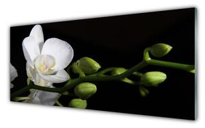 Panou sticla bucatarie Florale flori albe