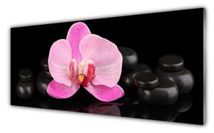 Panou sticla bucatarie Pietrele florale flori roz negru