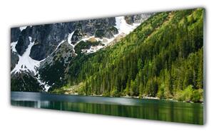 Panou sticla bucatarie Lacul Munții Peisaj Forestier Gri Alb Verde