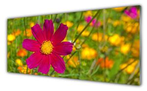 Tablou pe sticla Flower Floral Galben Roșu