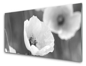Tablou pe sticla Maci Floral Gray