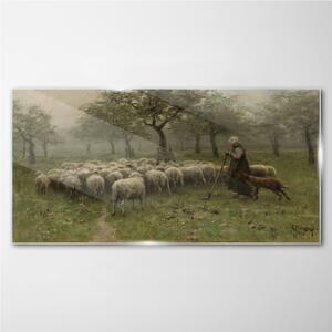 Tablou sticla Ferestre Shepherd Shepherd Shepherd