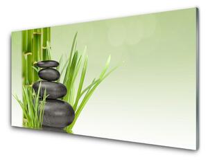 Tablou pe sticla Bamboo Ierburile Floral Verde Negru