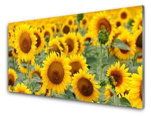 Tablou pe sticla Floarea soarelui Floral Brown Galben