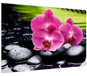Tablou - Orhidee roz cu frunze de palmier (90x60 cm)