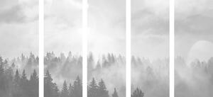Tablou 5-piese ceață deasupra pădurii în design alb-negru