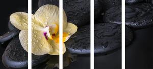 Tablou 5-piese pietre Zen cu orhidea galbenă