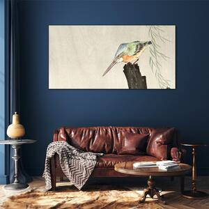 Tablou sticla Animale păsări Kingfishers