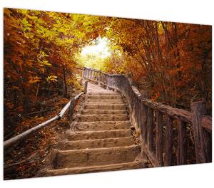 Tablou - Scări în natură în toamnă (90x60 cm)