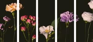Tablou 5-piese flori elegante pe fundalul întunecos