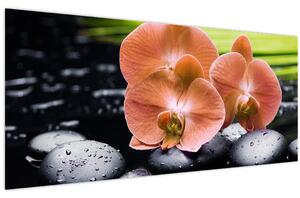 Tablou - Orhidee portocalie cu frunze de palmier (120x50 cm)
