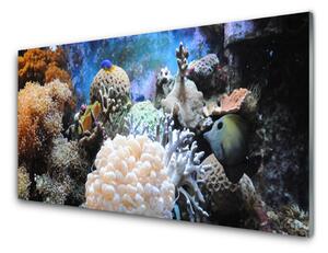 Panou sticla bucatarie Coral Reef Natura Gri Alb Galben