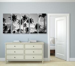 Tablou 5-piese palmieri de cocos pe plajă în design alb-negru