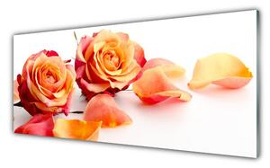 Tablou pe sticla Trandafiri Floral Galben Portocaliu