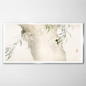 Tablou sticla Ramuri de copac frunze de insecte
