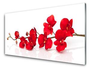 Tablou pe sticla Flori Floral Roșu
