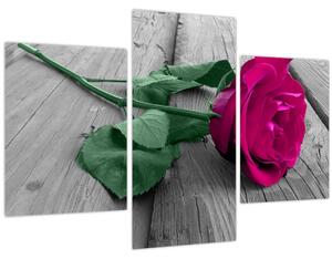 Tablou - Trandafir roz cu tulpina verde (90x60 cm)